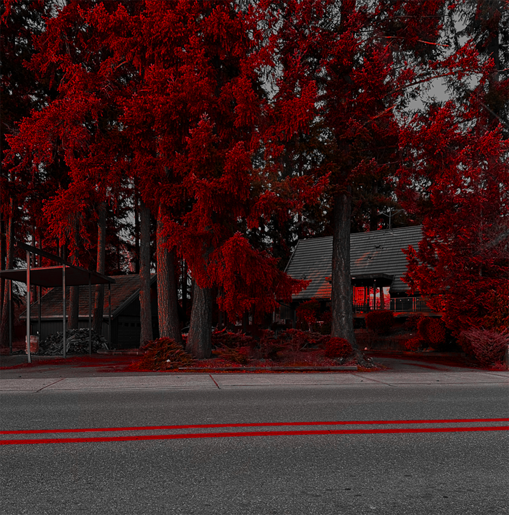 Moody red-toned photograph of trees, road, and house